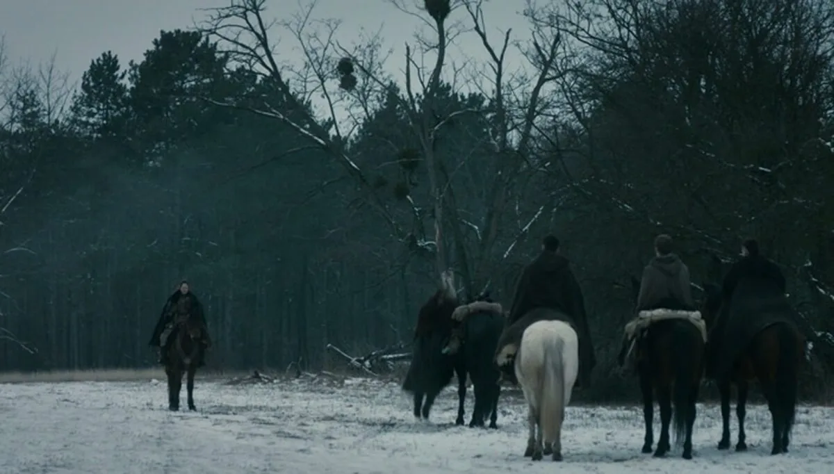 Фото галереи #5