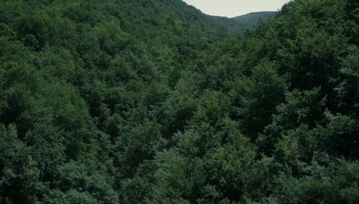 Фото галереи #6